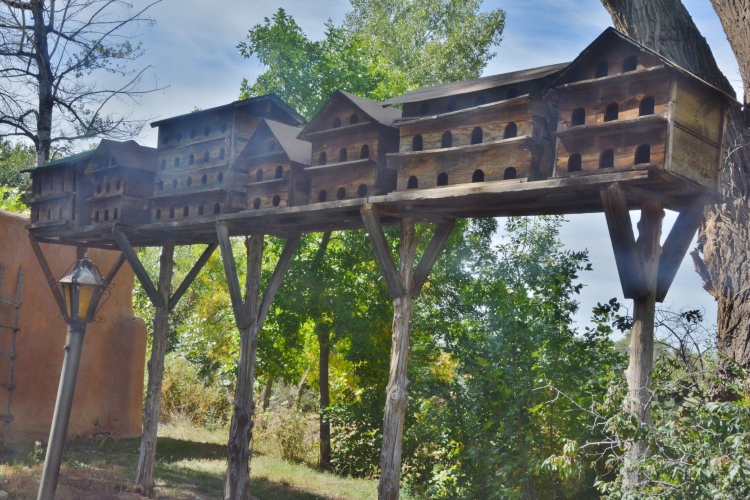 row of birdhouses